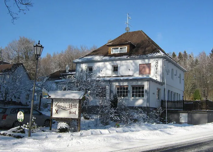Laubacher Wald